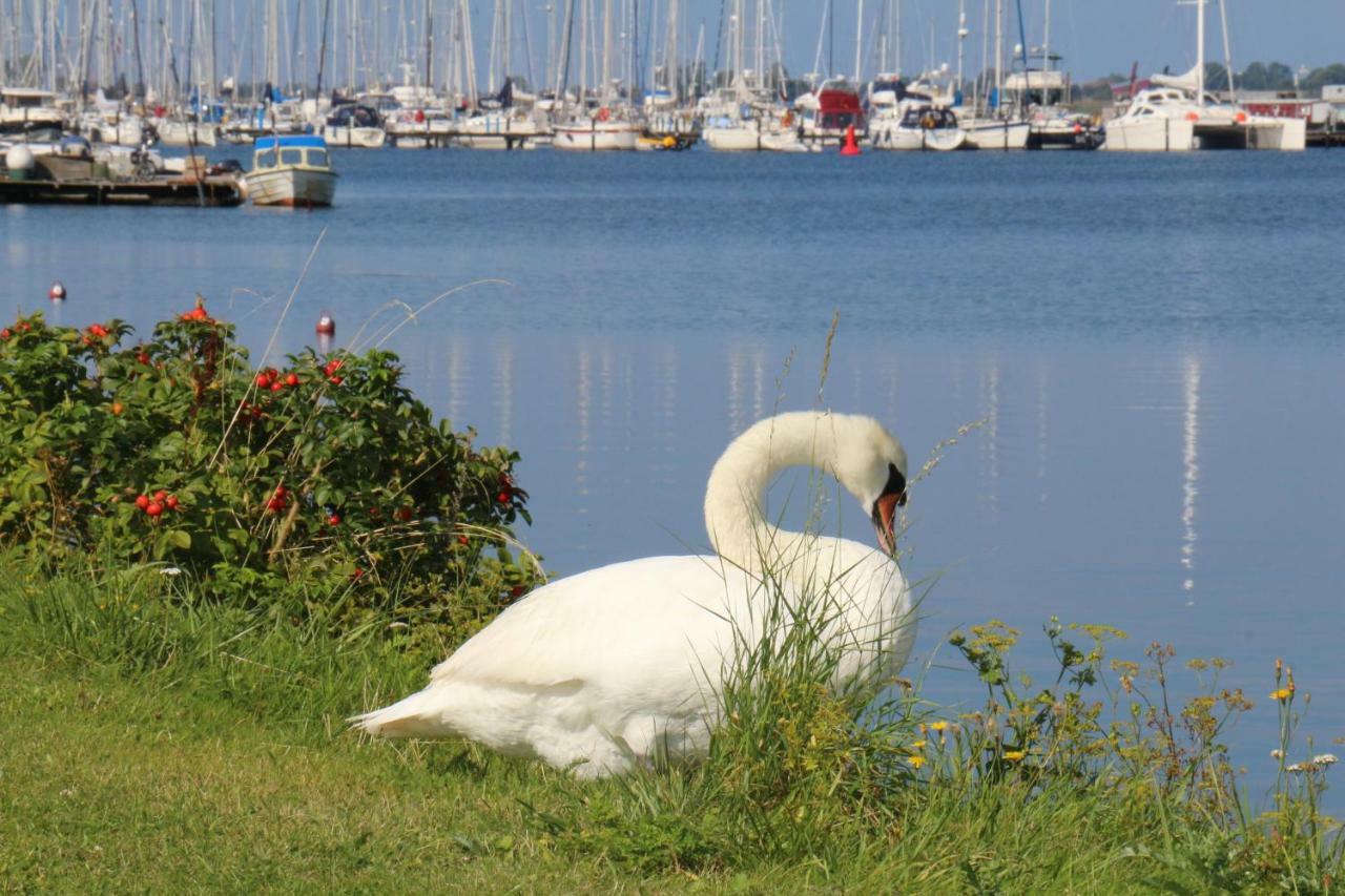 2Zi-Ferienwohnung Am Suedstrand Mit Eigenem Parkplatz Perfekt Fuer Familie Burgtiefe auf Fehmarn Exteriér fotografie